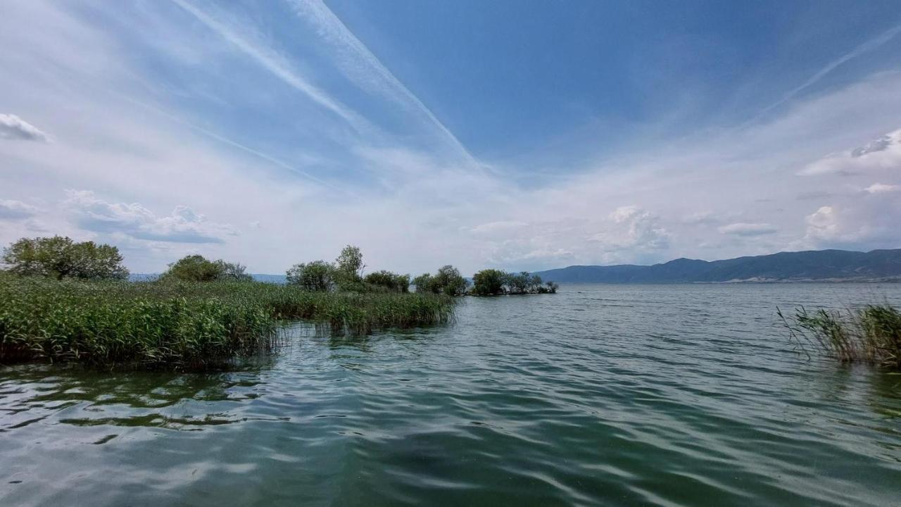 Villa Sevi Неа-Врасна Экстерьер фото